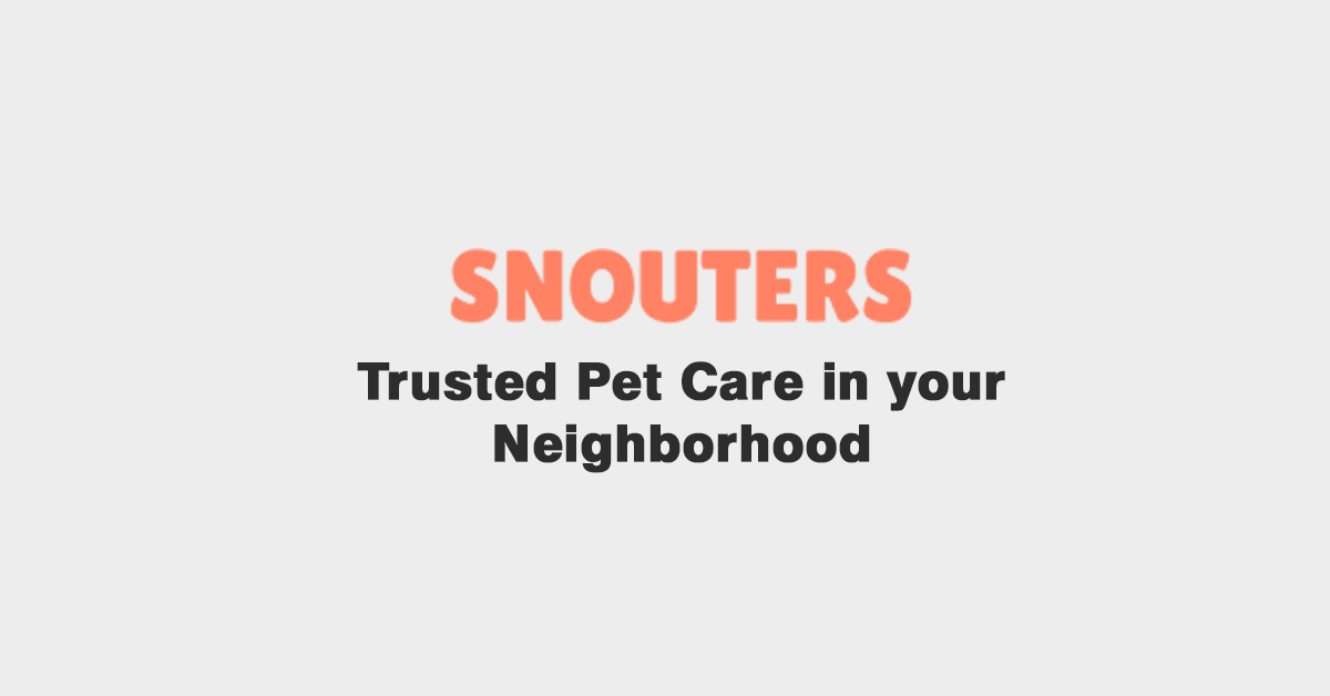 Best Doggy Daycare Service Near Me - Snouters