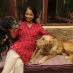 Best Dog Daycare in Delhi Shalimar Bagh