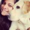 Payment for Invoice 41294 , Booking 41236, Name: Vandana A., Period: from February 1, 2022 to February 8, 2022