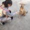 Payment for Invoice 41345 , Booking 41344, Name: Priya, Period: from February 4, 2022 to February 4, 2022