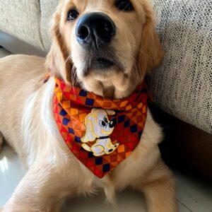 Dog Bandanas