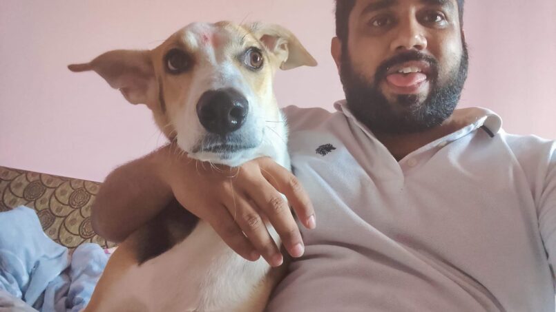 Dog Boarding Service in Sector 57 Gurgaon