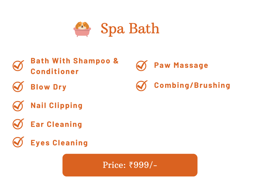Best Pet Grooming Service At Home In India - Snouters