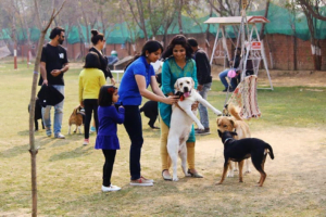 Dog Park Gurgaon