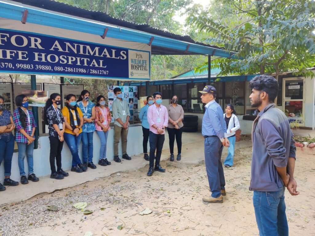 pfa, a caring dog shelter in bangalore