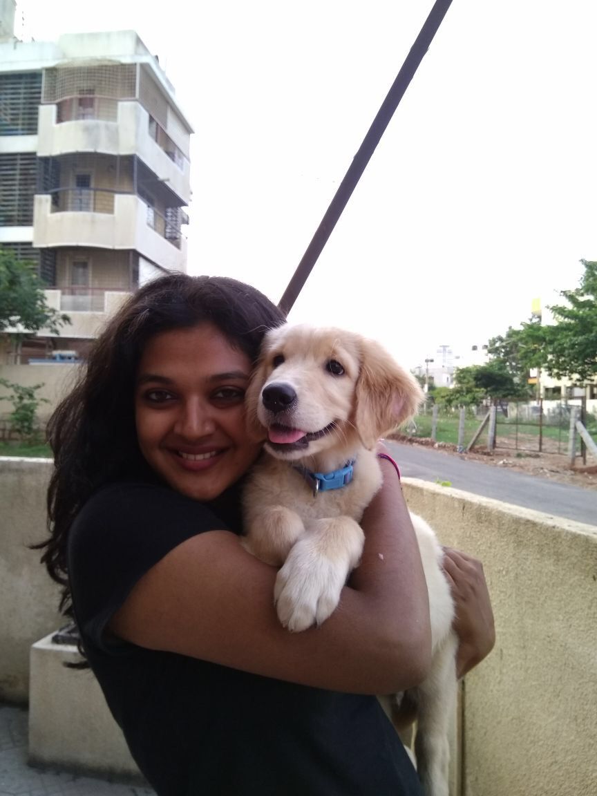 top-dog-boarding-in-bangalore-snouters