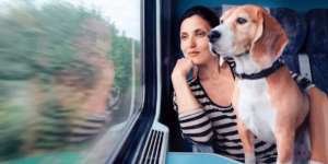 pet in train travel in India