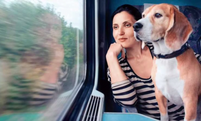 How to travel with your Dog or Pet in Train in India