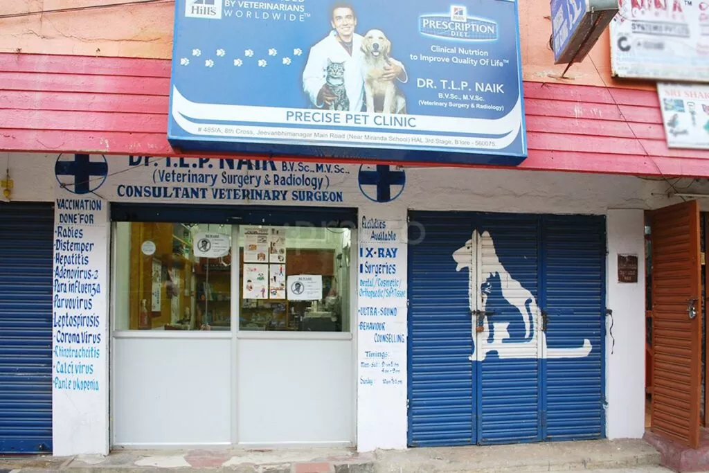 precise pet clinic in bangalore