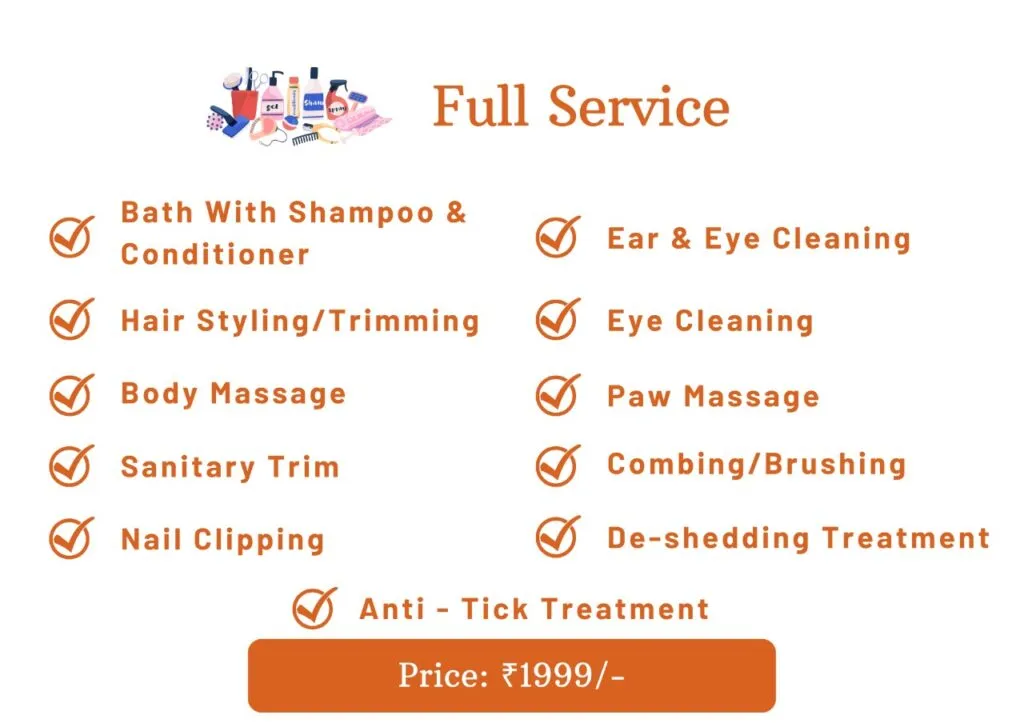 Dog grooming deals prices near me