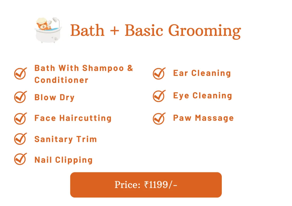 Groomers near me clearance prices