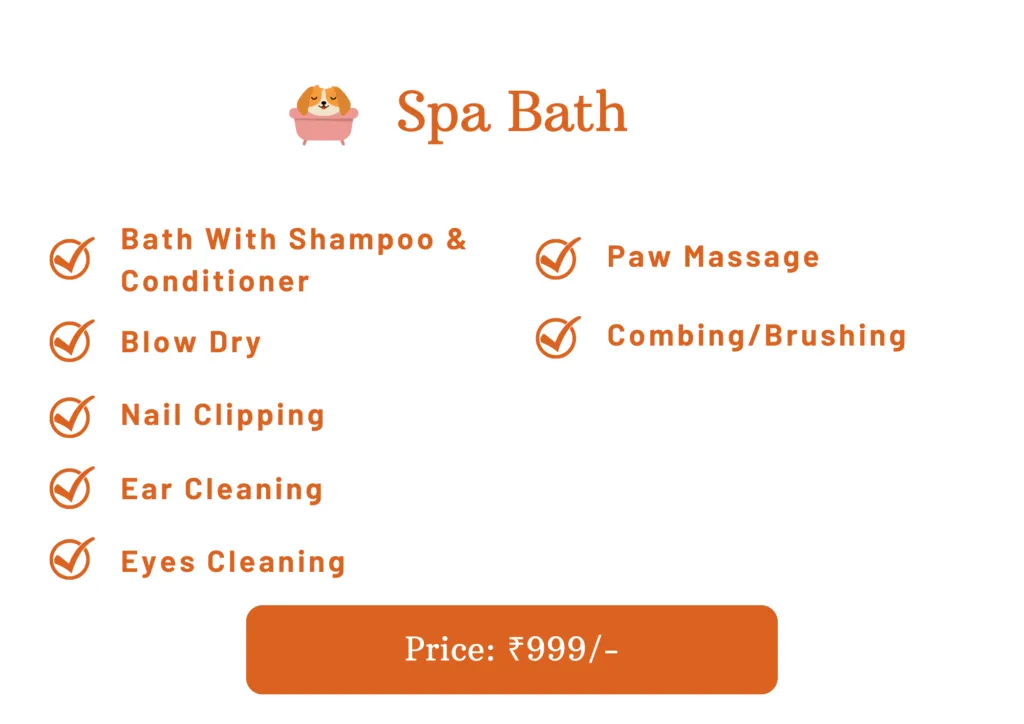 Dog grooming online specials near me