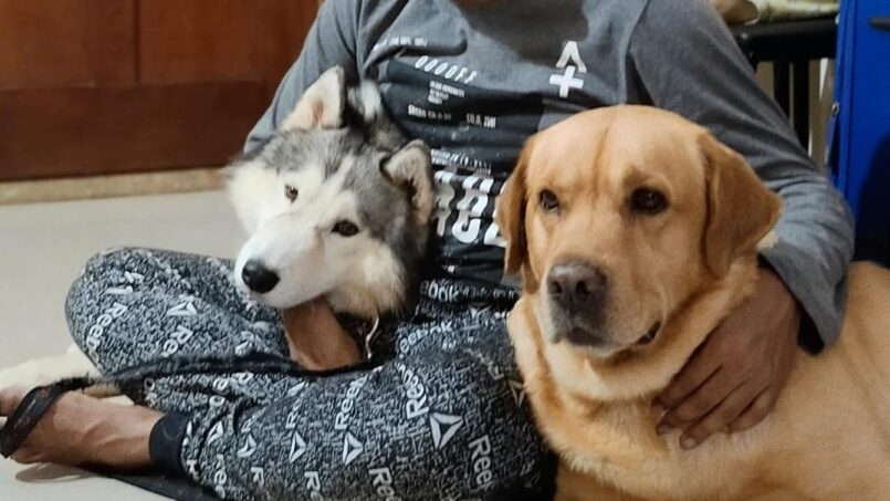 dog training near whitefield bangalore