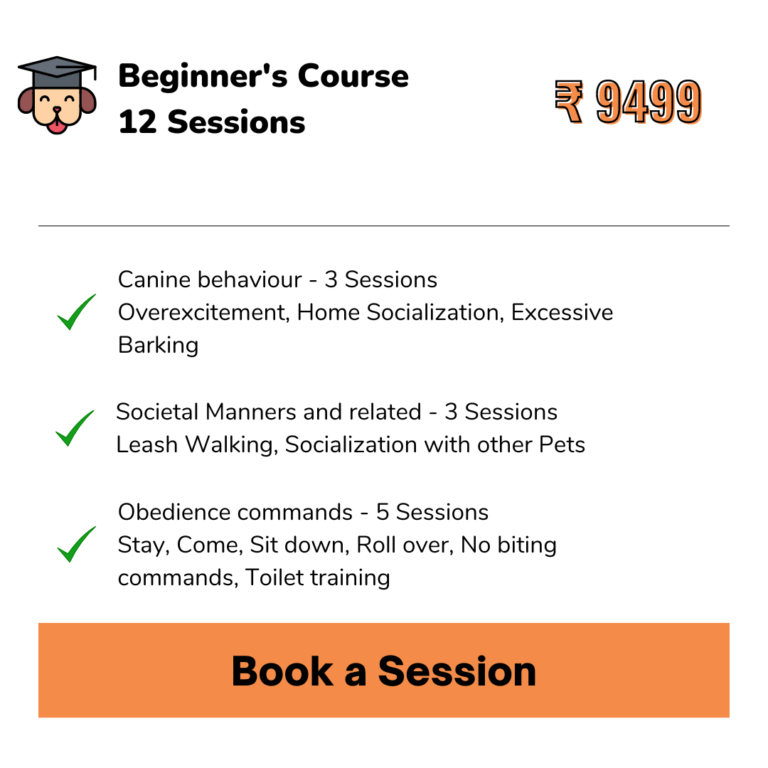 Behavioral Dog Trainer Near you
