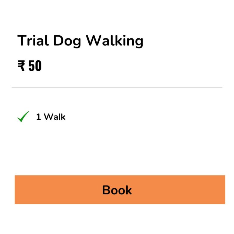 dog walker bangalore