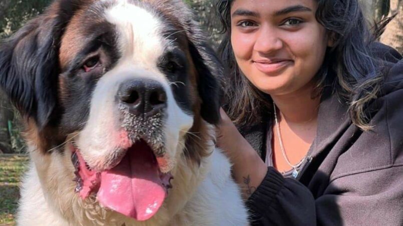 Dog Grooming In Jayanagar