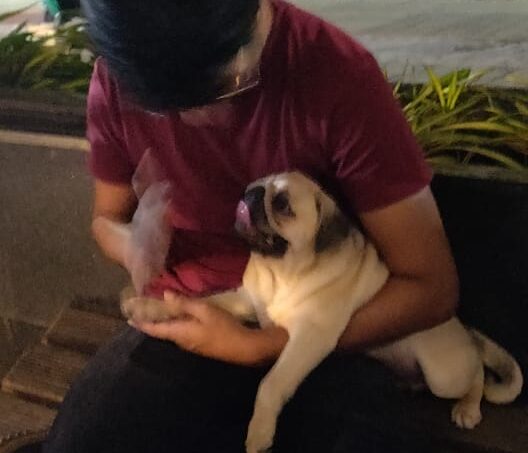dog grooming bangalore