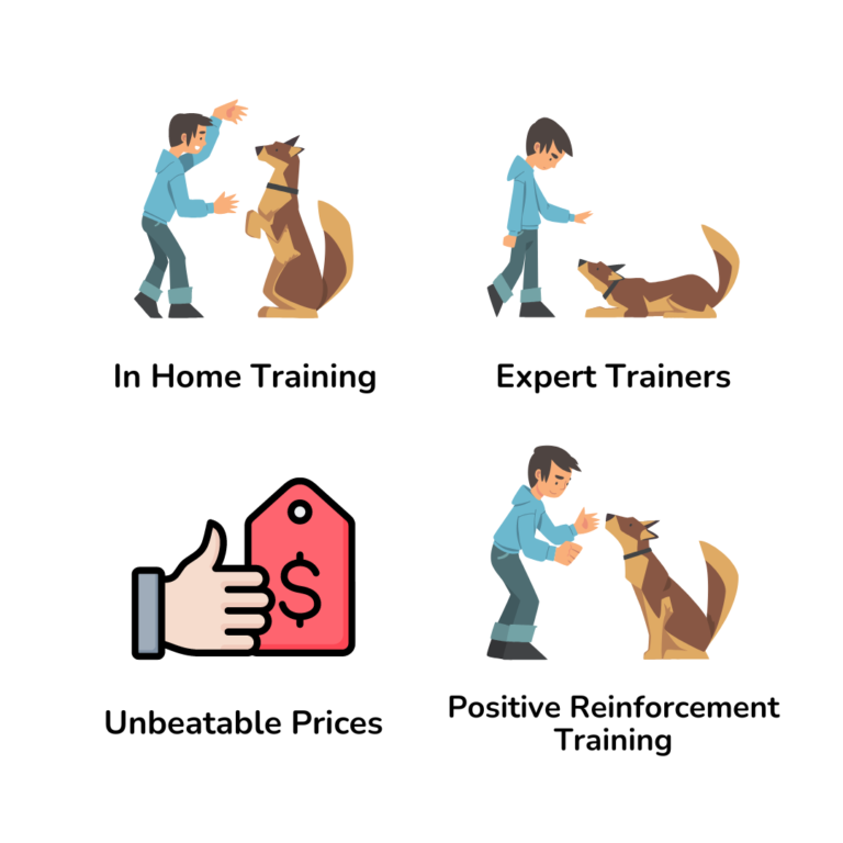 dog training at home