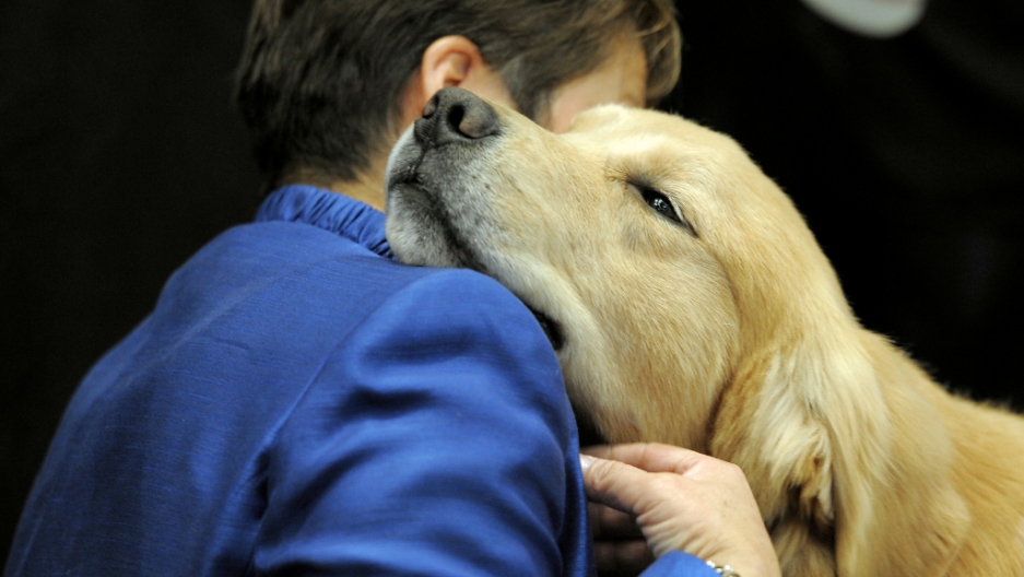 pets for mental health