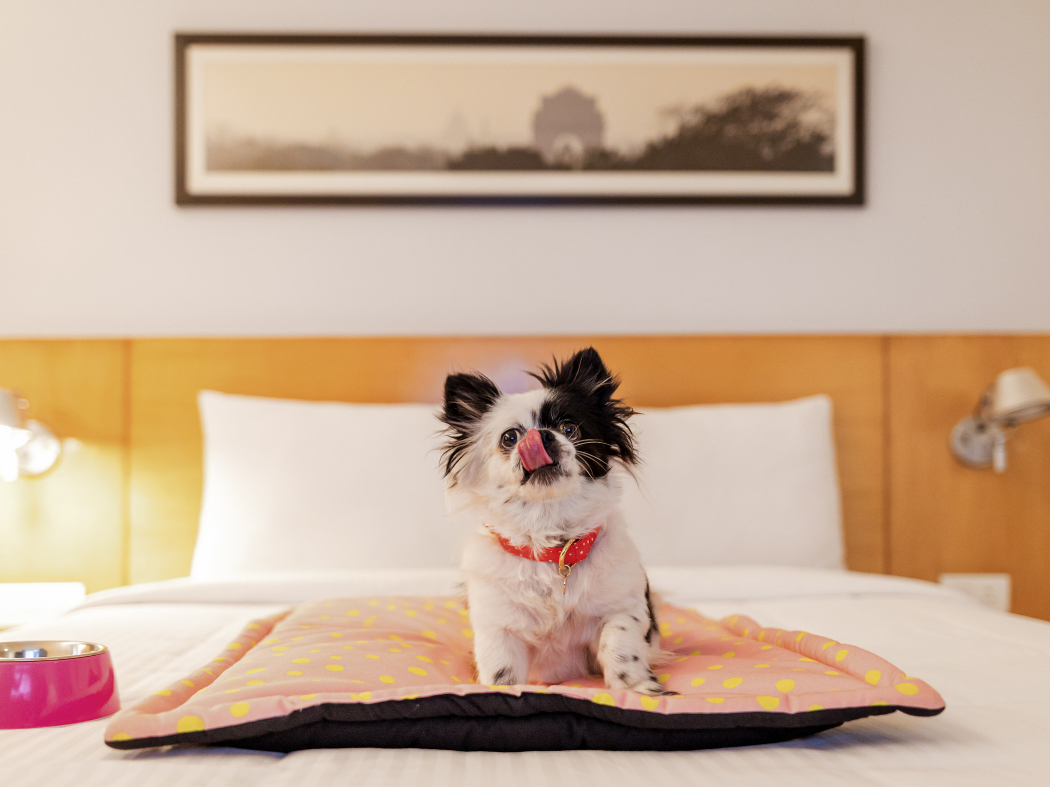 Top Pet Friendly Hotels in Chennai