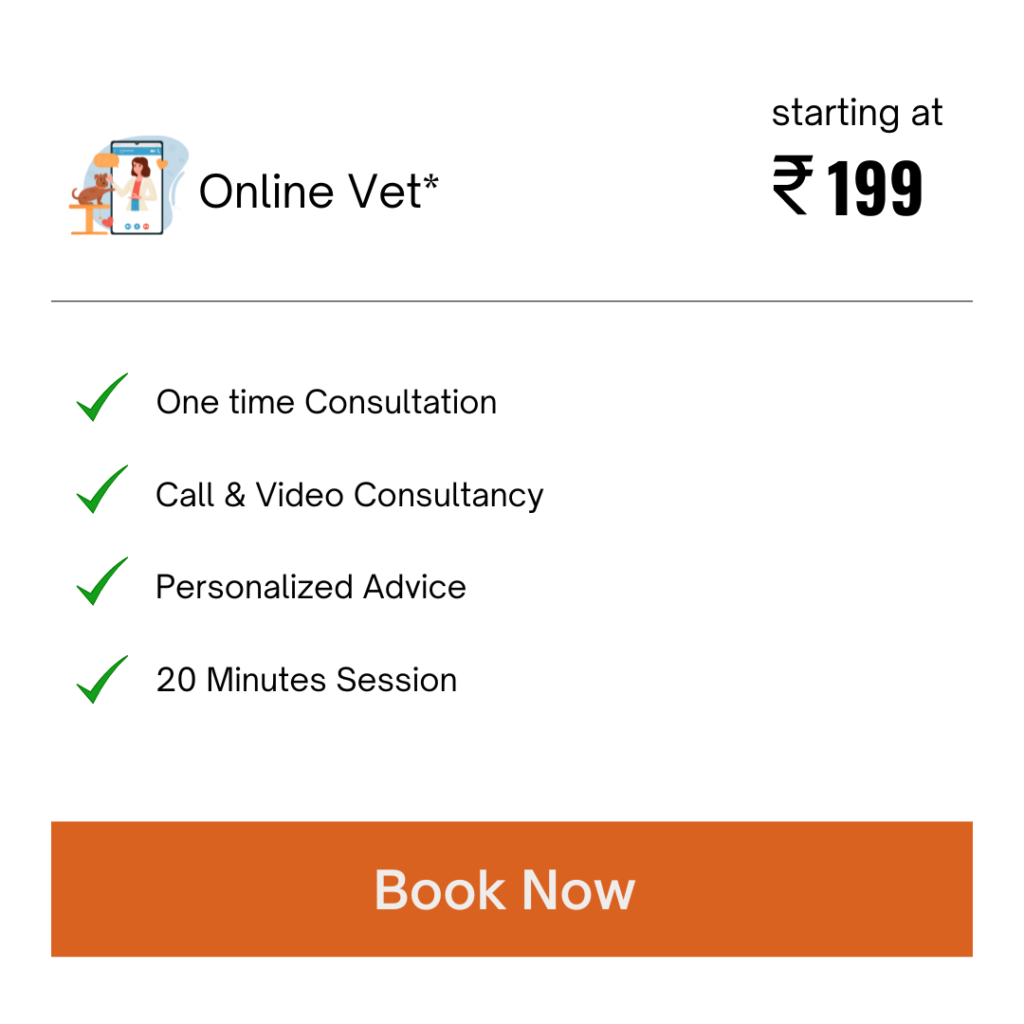 Online Vet Consultation Bangalore