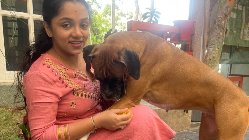 doggy daycare in vasanthpura bangalore