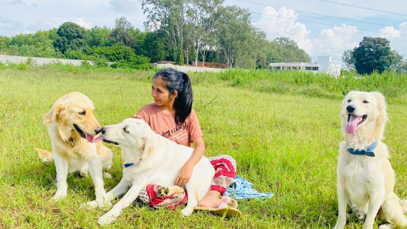 doggy daycare in horamavu bangalore