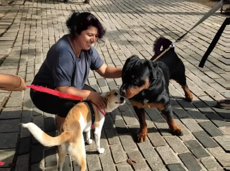 dog walking service in Hyderabad