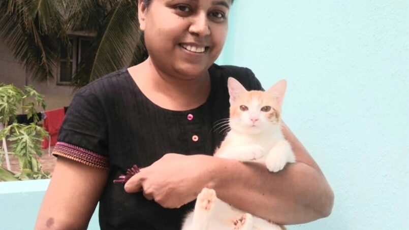 Top Pet Boarding In Kammanahalli Bangalore Hosted By Mini