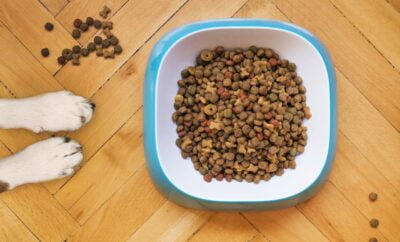 The Ultimate Guide to Dog Food Ingredients