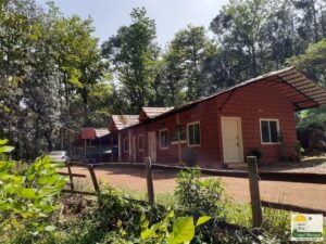pet-friendly resorts in Coorg
