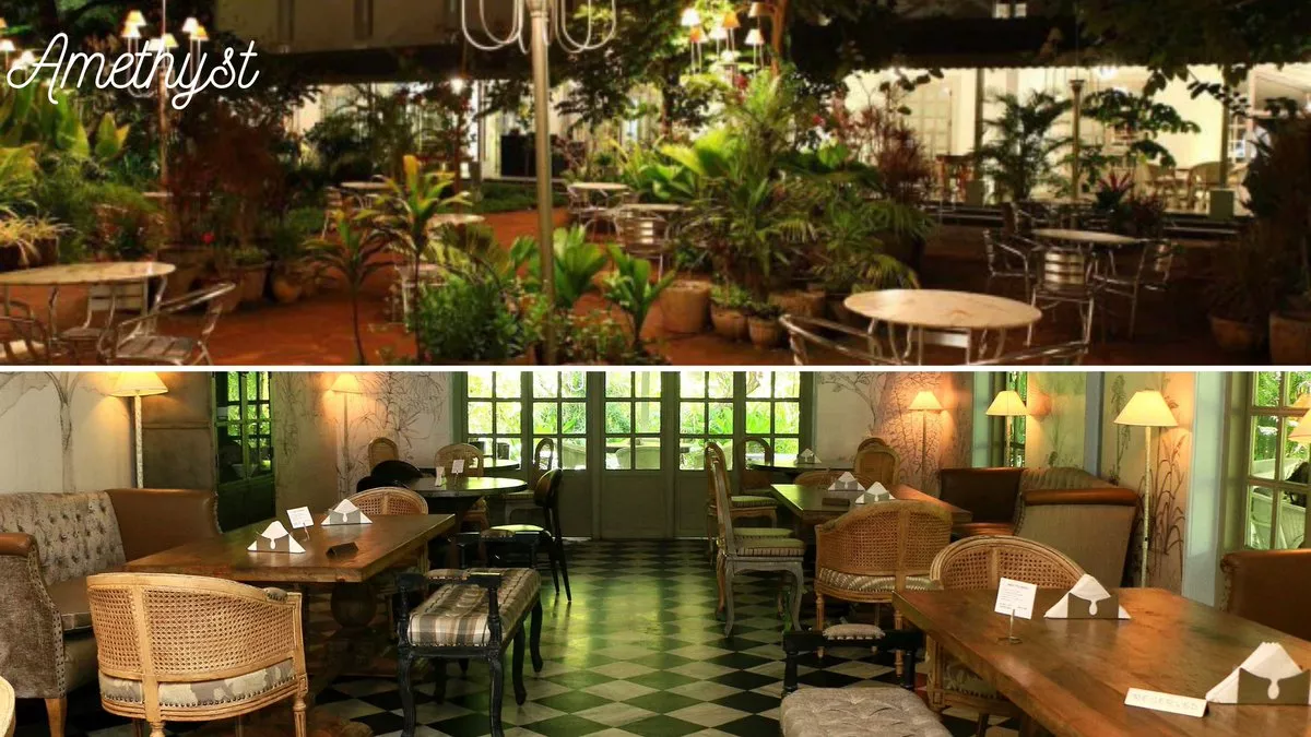 Top 9 Pet-Friendly Restaurants In Chennai