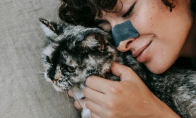 Pets and Mental Health: Furry Friends as Emotional Anchors
