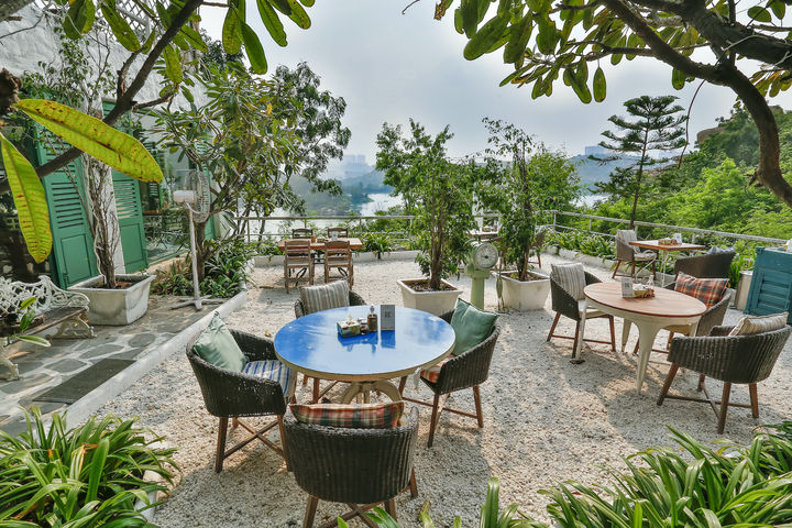 pet-friendly restaurants in Hyderabad